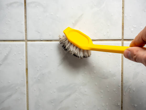 Best Fast Mold Removal  in Jackson, TN