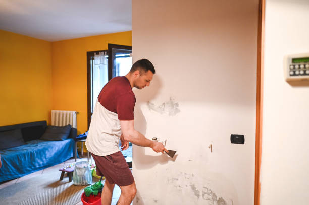 Best Crawl Space Mold Removal  in Jackson, TN